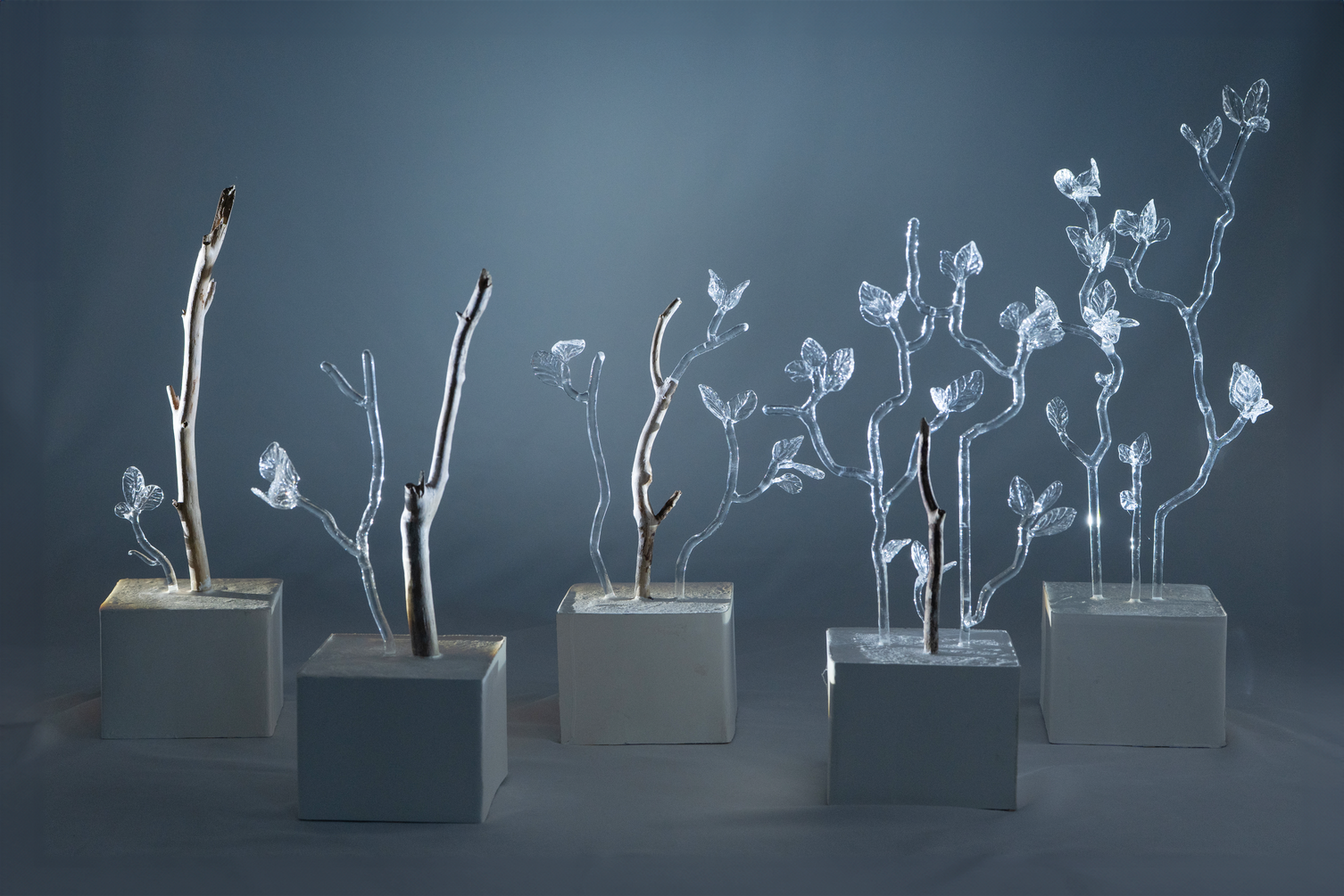 Stillness of the Wind 9