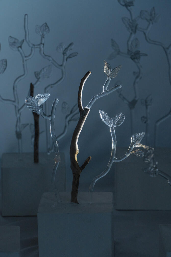 Stillness of the Wind 11