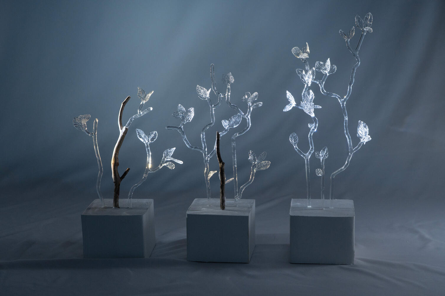 Stillness of the Wind 16