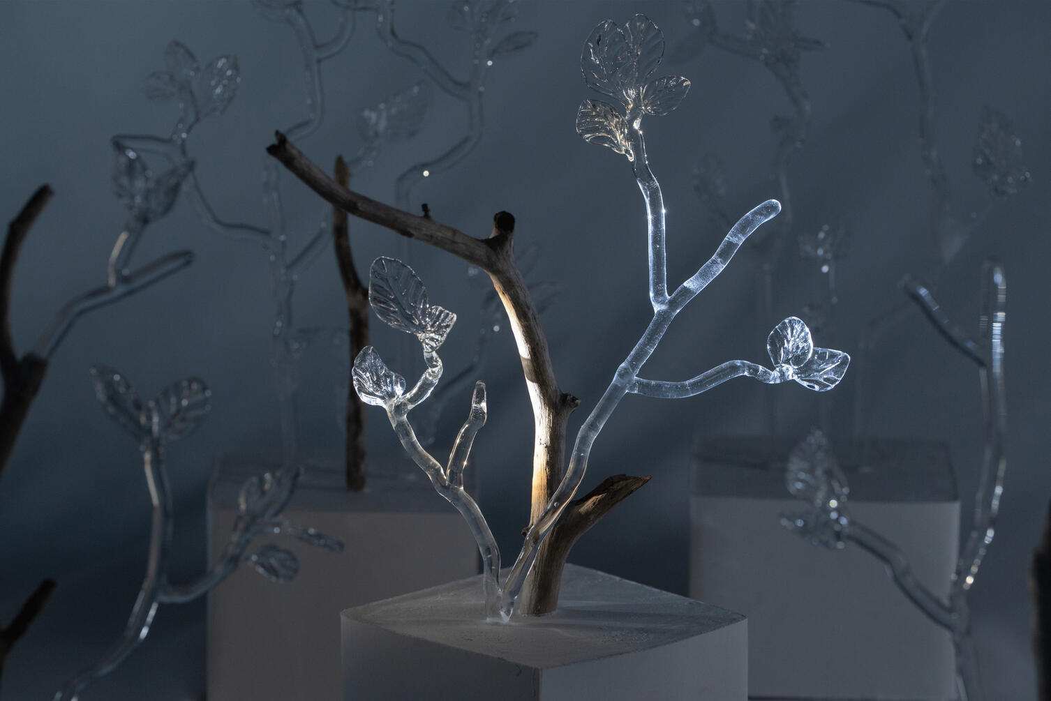 Stillness of the Wind 14