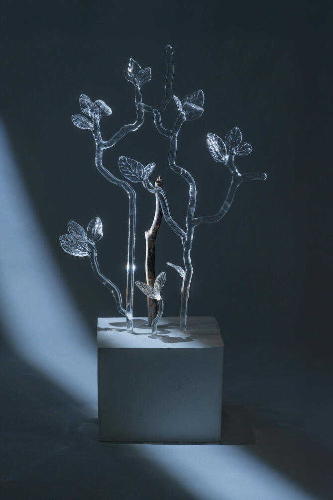 Stillness of the Wind