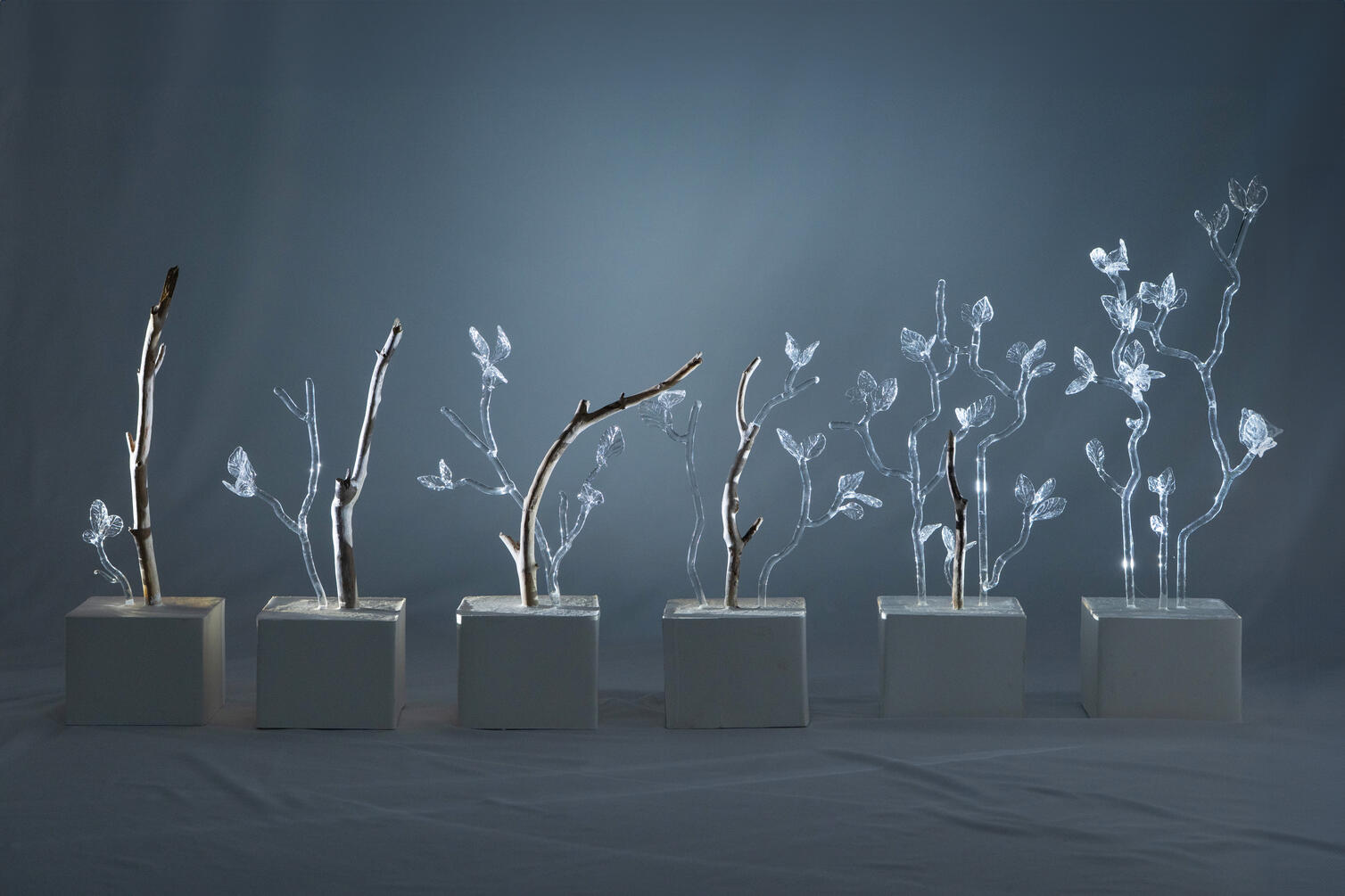 Stillness of the Wind 7