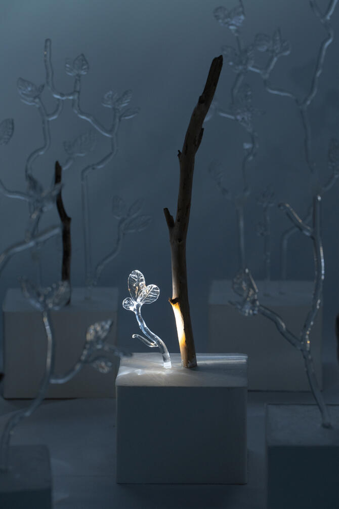 Stillness of the Wind 12