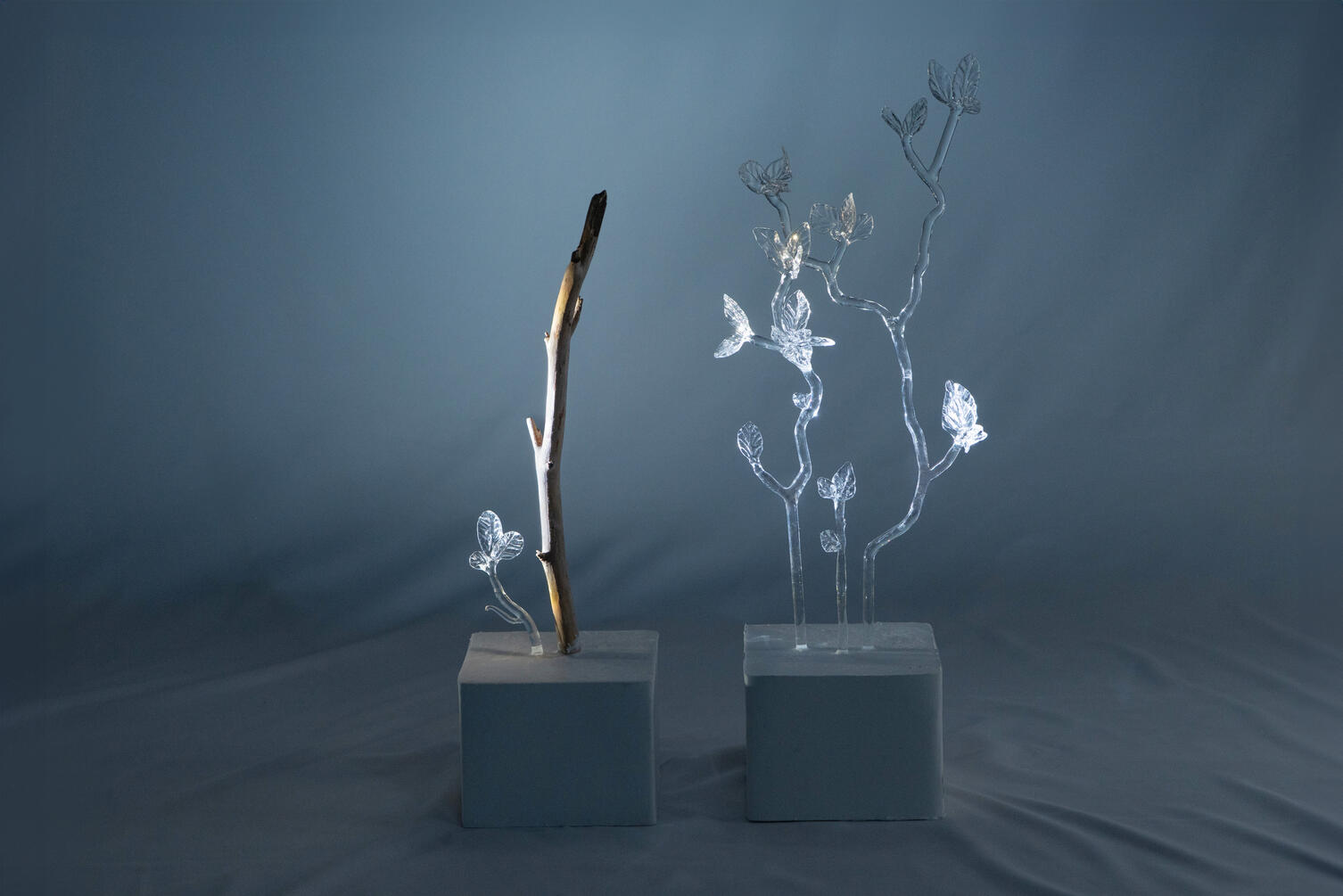 Stillness of the Wind 17