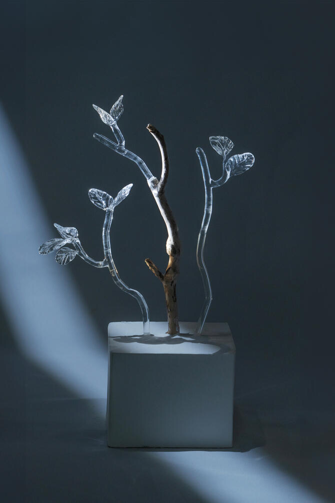 Stillness of the Wind