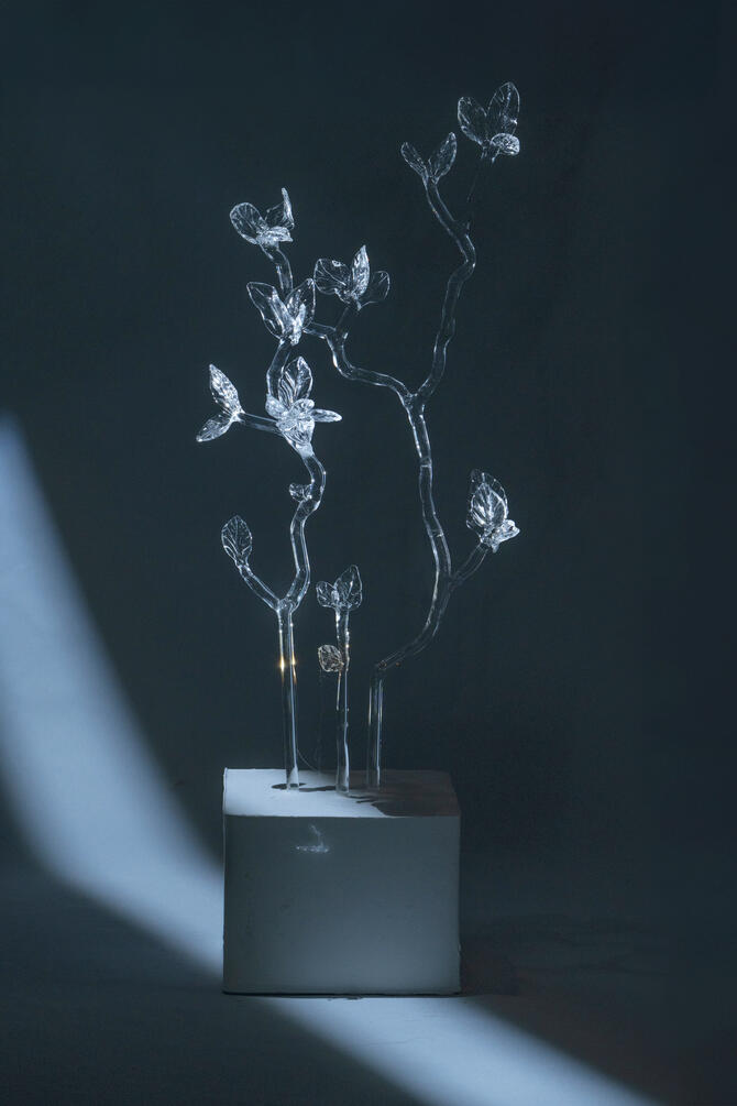 Stillness of the Wind