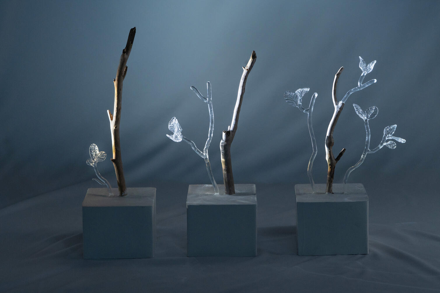 Stillness of the Wind 15