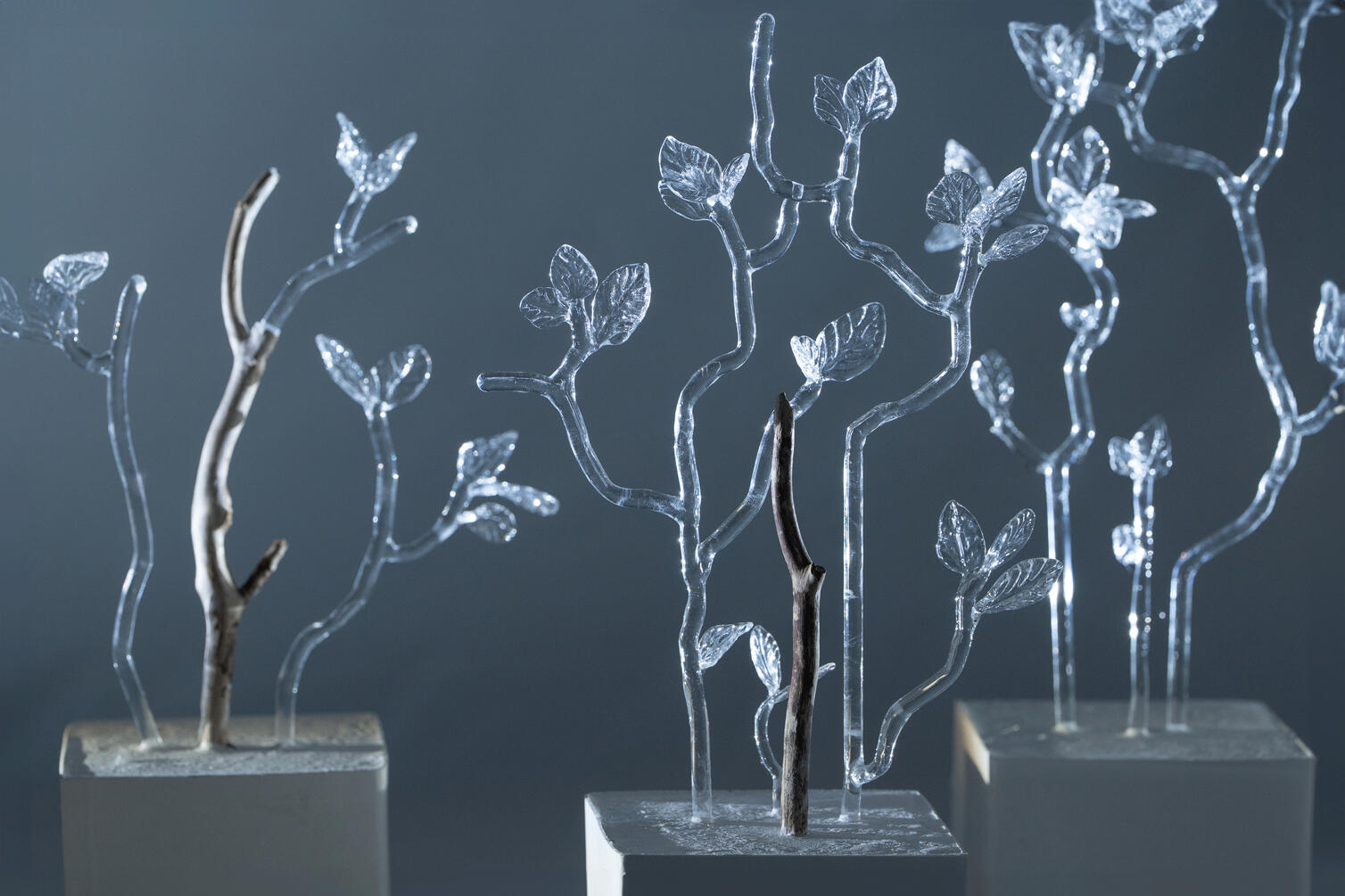 Stillness of the Wind