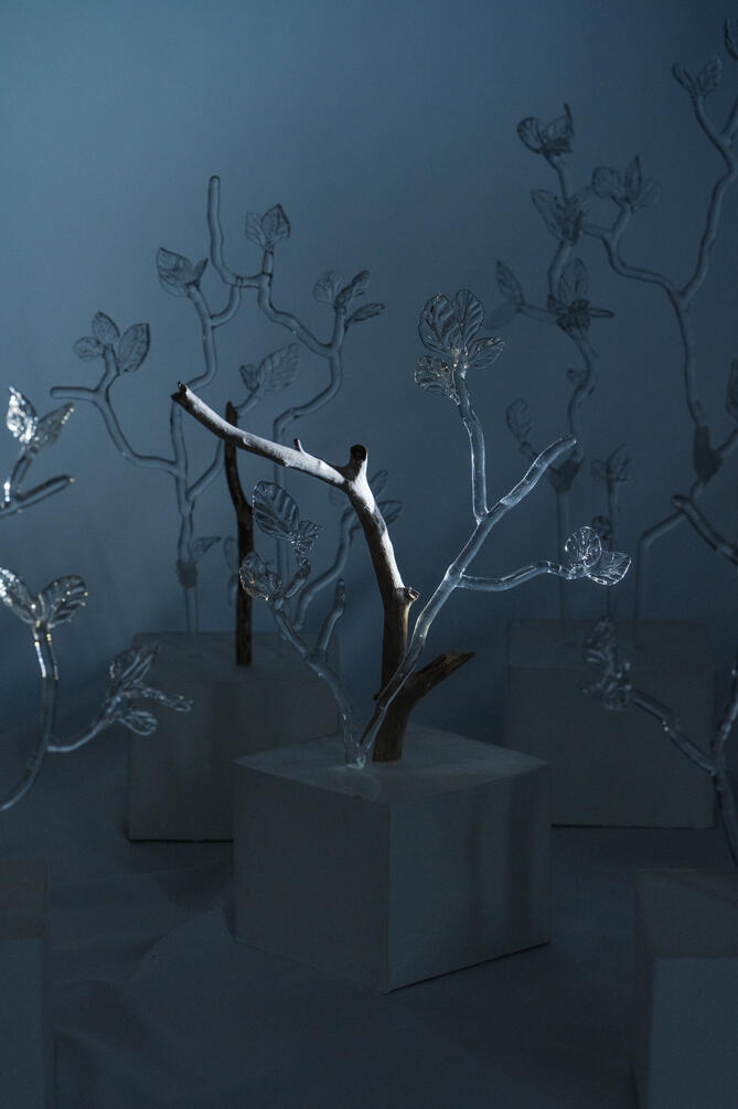 Stillness of the Wind 13