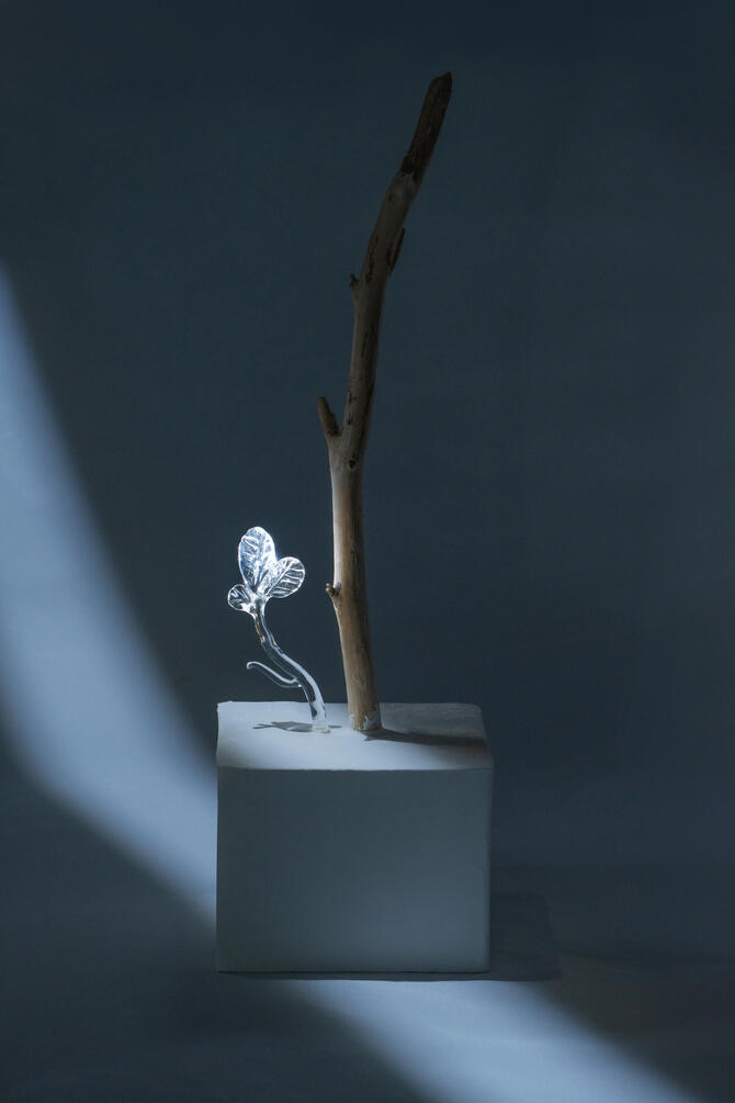 Stillness of the Wind