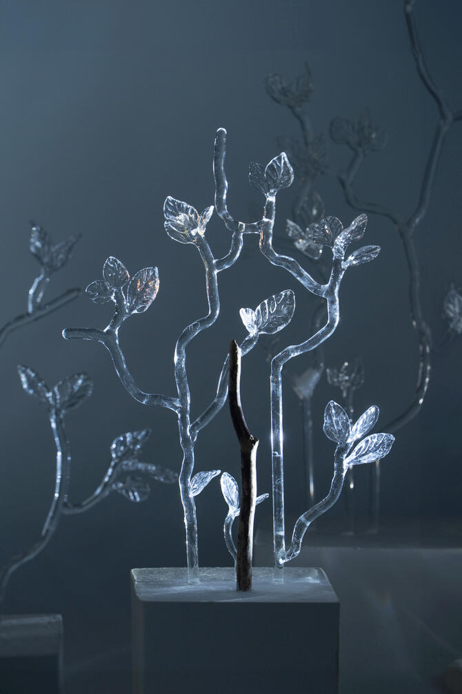 Stillness of the Wind 10