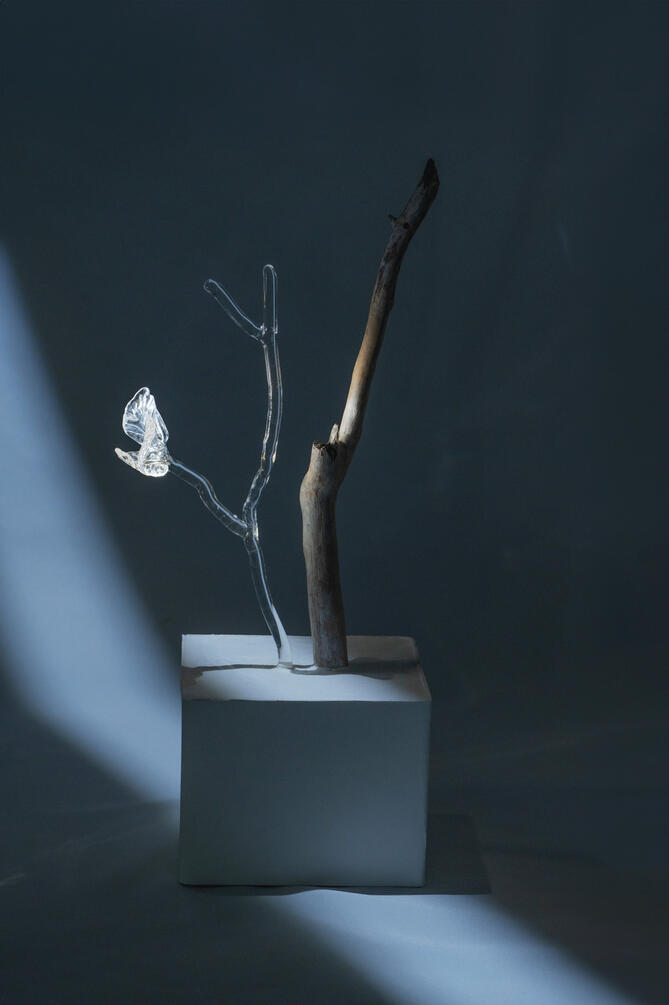 Stillness of the Wind