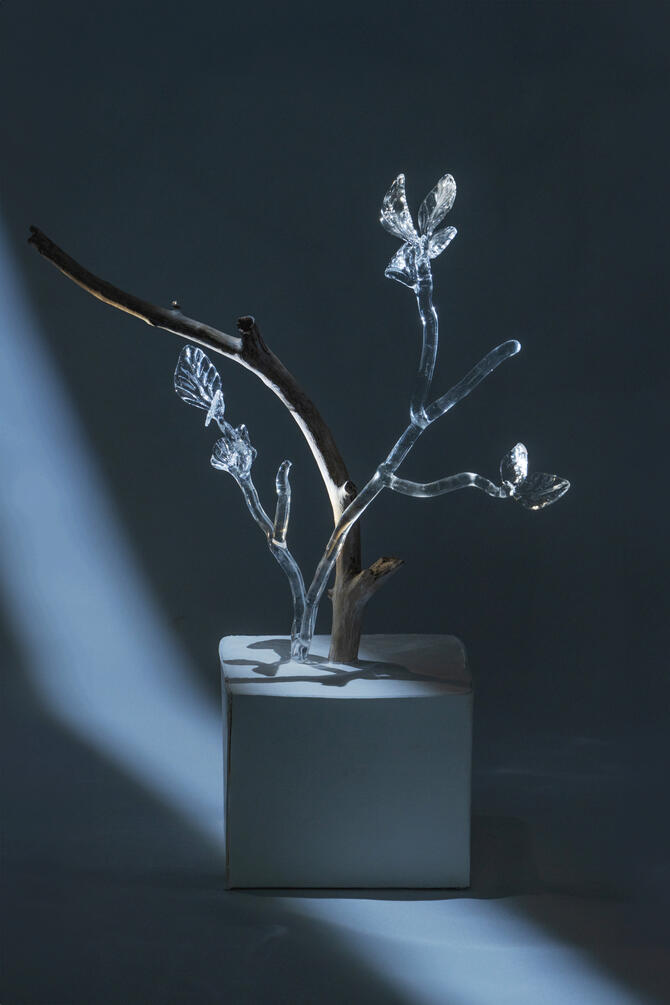 Stillness of the Wind